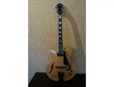 Fender D'Aquisto Deluxe