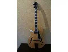 Fender D'Aquisto Deluxe main image