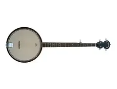 Ozark 2105G 5 String Banjo main image
