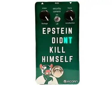 Acorn Amplifiers Epstein Didn’t Kill Himself