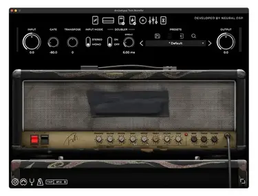 Neural DSP Archetype: Tom Morello
