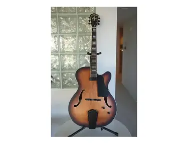 Washburn J-600