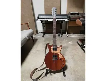 Custom / DIY Double-cut Guitar #2