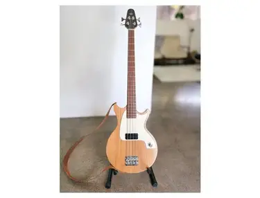 Custom / DIY Bass Guitar