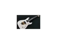 ESP GCA x Midori Horizon Collaboration Nagoya Branch School Guitar FR