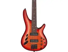 Ibanez SRD900F 4-String Fretless Electric Bass Guitar