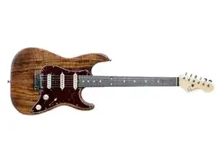 Valle Custom Made Maple Stratocaster main image