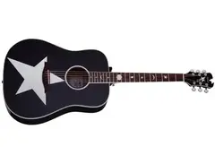 Schecter Robert Smith RS-1000 Stage Acoustic Gloss Black main image
