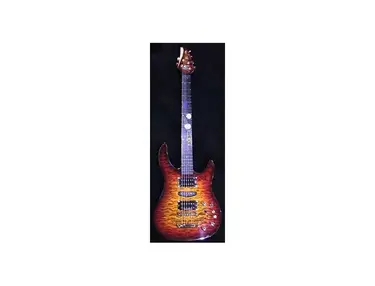Brian Moore Custom Shop C90TP.13