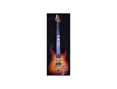 Brian Moore Custom Shop C90TP.13 main image