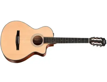 Taylor 312ce-N Nylon