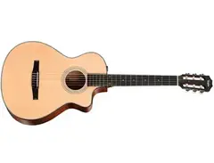 Taylor 312ce-N Nylon