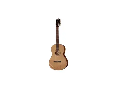 Guild P-240 Memoir Series