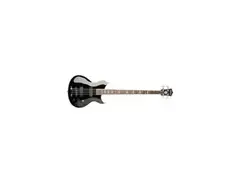 Washburn Idol WB66 main image