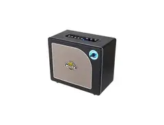Mooer Hornet Black 30W Modeling Amp main image
