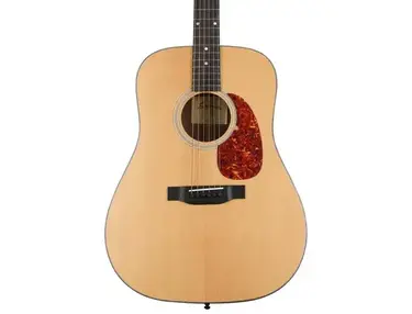Eastman Guitars E1D Dreadnought Acoustic Guitar