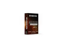 Digital Sound Factory Ensoniq MR SoundFont main image