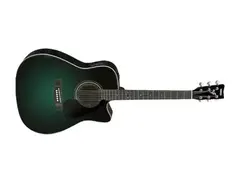 Yamaha FG-411CE MAB main image