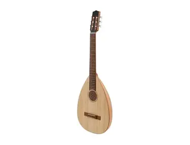 Lute Guitar