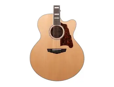 D'Angelico Premier Madison