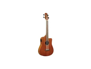 Gold Tone MicroBass Fretless