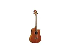 Gold Tone MicroBass Fretless