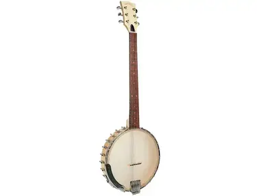 Gold Tone BT-1000 6 String Banjitar