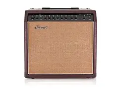 Hartwood 30W Acoustic Guitar Amplifier
