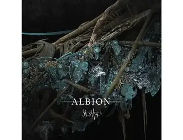 Spitfire Audio Albion Solstice Orchestral Sample Library and Cinematic Composition Plug-in