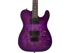 Schecter PT Standard Electric Guitar