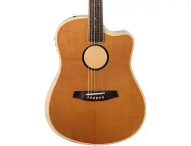 L.R. Baggs AEG-1 Acoustic-electric Guitar - Torrefied Spruce Top