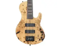 Sire USA Marcus Miller F10 5-string Bass Guitar
