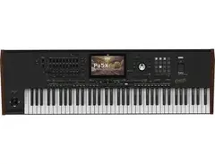 Korg Pa5X Oriental 76 Professional Arranger Workstation