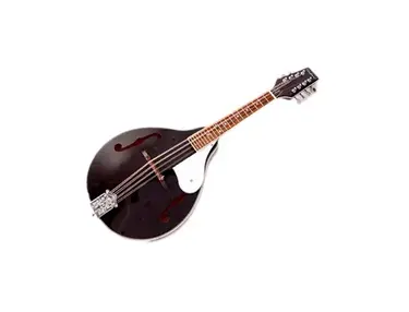 Tanglewood TWMTBKP A Style Mandolin
