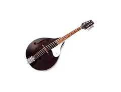 Tanglewood TWMTBKP A Style Mandolin main image