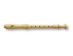 Wood Recorder main image