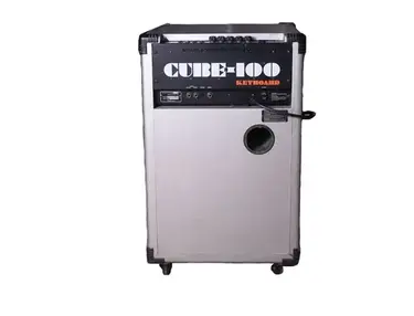 Roland CUBE-100 Keyboard Amp