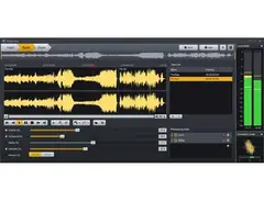 Acon Digital AudioLava 2 main image