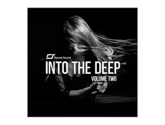 Reveal Sound Into The Deep Vol.2 main image