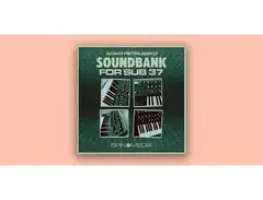 5Pin Media Adam Pietruszko Soundbank for Sub 37 main image