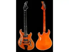 Languedoc G2 Hollow Body Electric Guitar