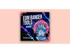 Singomakers Sounds EDM Banger Tools by Jasted main image