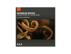 Applied Acoustics Systems Entangled Species String Studio VS-3 Sound Bank main image