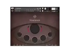 Rigid Audio Limerence main image