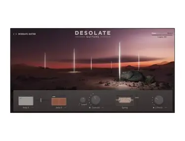 e-instruments Desolate Guitars