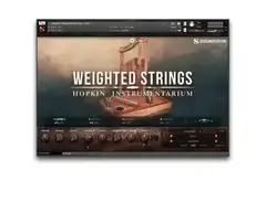 Soundiron Hopkin Instrumentarium: Weighted Strings main image