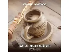 Have Audio Bass Recorder main image