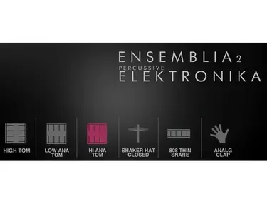 Cinematique Instruments Ensemblia 2 Elektronika