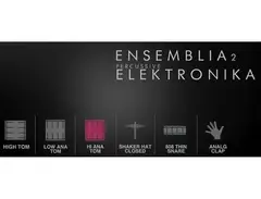 Cinematique Instruments Ensemblia 2 Elektronika main image