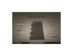 Cinematique Instruments Marimba main image